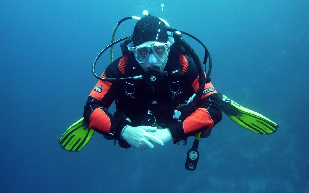 Dinas Damkar Kotabaru Evakuasi Ular di Pelabuhan